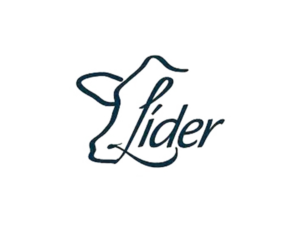 Lider.png
